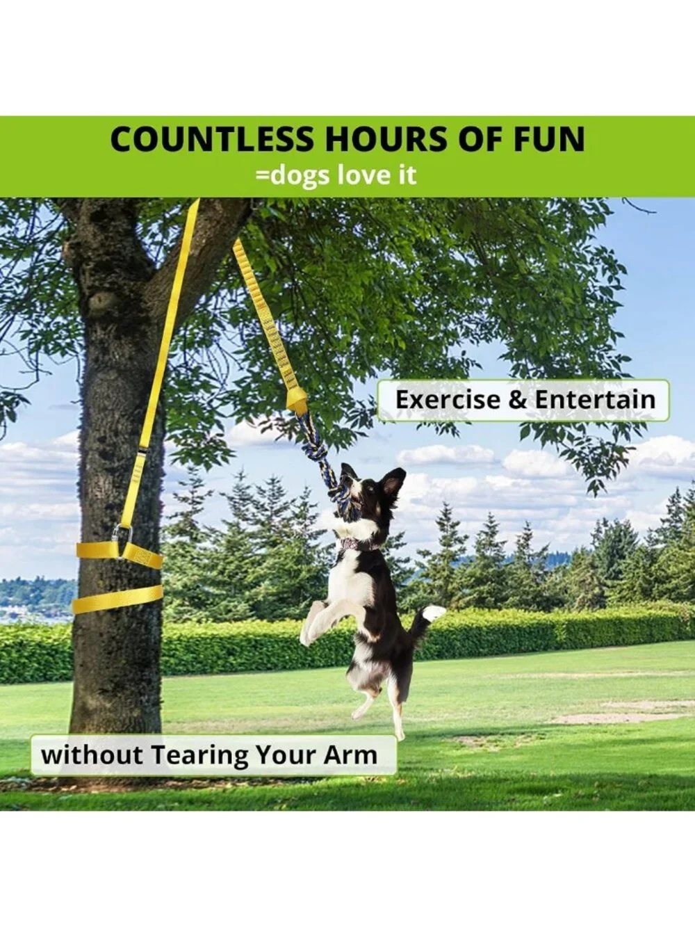 Interactive Bungee Tug Toy for Dogs - Durable Tug-of-War & Chew Rope Set
